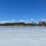 SPCA Animal Welfare Centre in Wiri, South Auckland